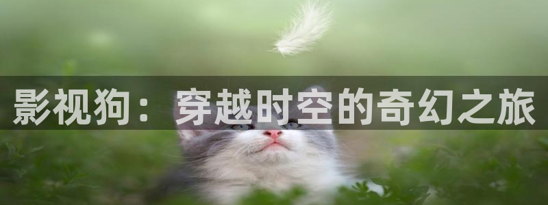 首播影院yy6080理论永久