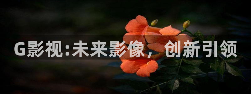 首播影院免费