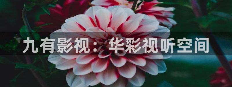 首播影院在线观看